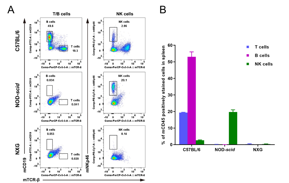 NXG--中国科学院动物研究所实验动物中心
